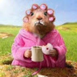 Meet your Posher, Linda